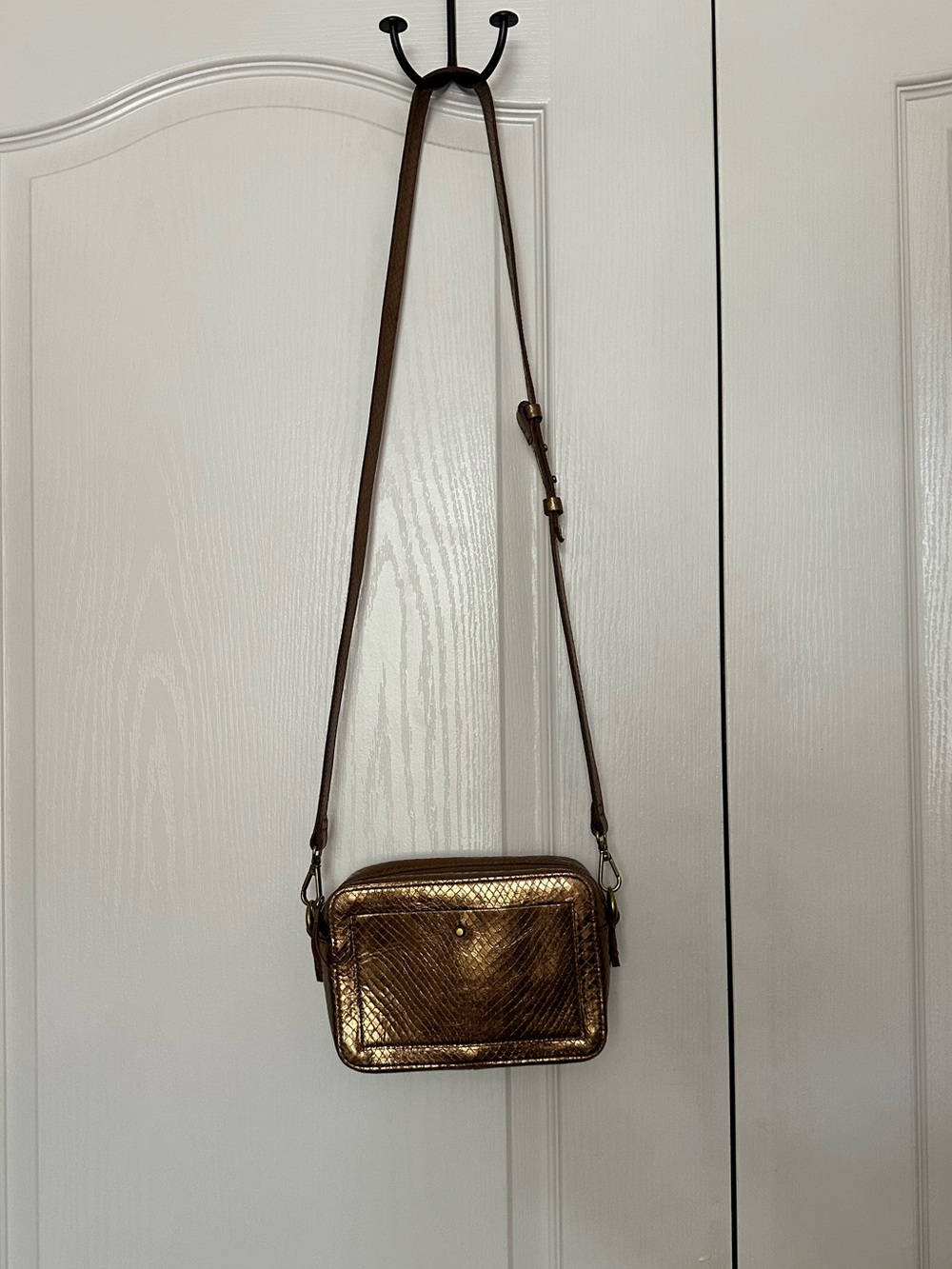 Madewell The Transport Camera Bag: Metallic Snake Embossed Leather Edition